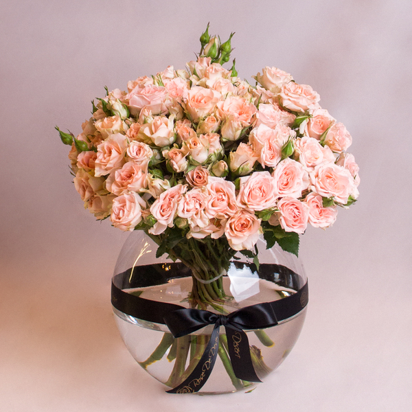 Simply Peach | ببساطة خوخ