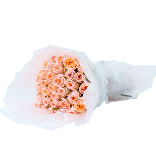 ligne-de-peach