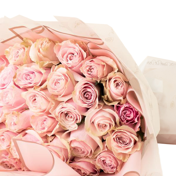 Ligne de Rose