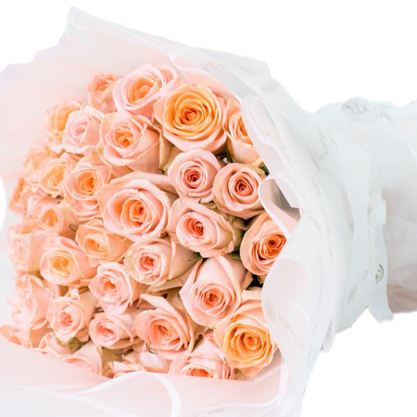 ligne-de-peach