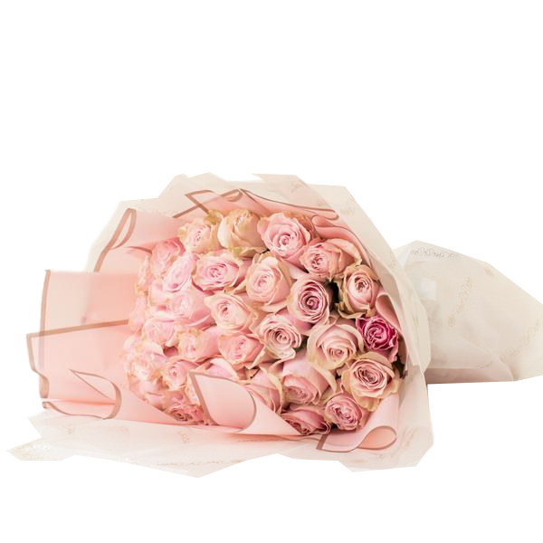 Ligne de Rose
