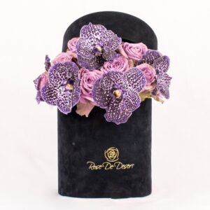 Crescent En Mauve