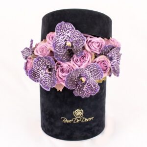 Crescent En Mauve