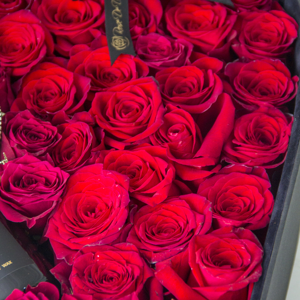Crimson Heart