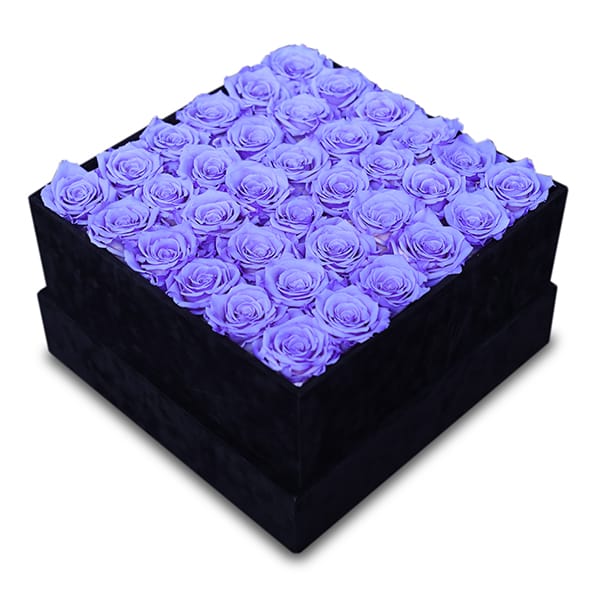 Endless Arcade Lavender