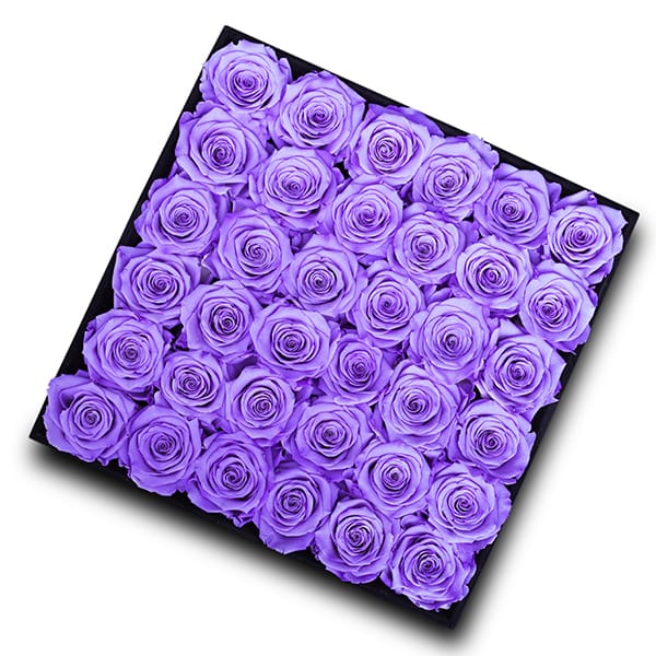 Endless Arcade Lavender
