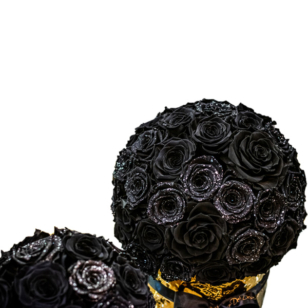 Endless Aurous Black Mix Set