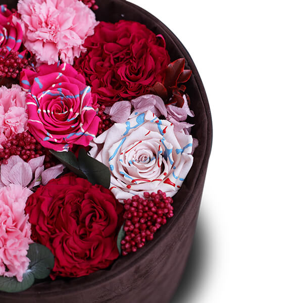 Endless Fame Festive Pink Mix