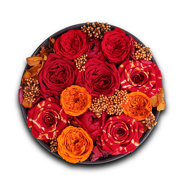 Endless Fame Festive Red Mix