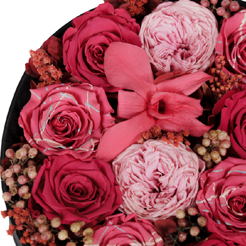 Endless Fame Pink Mix