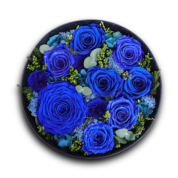 Endless Fame Royale Blue Mix
