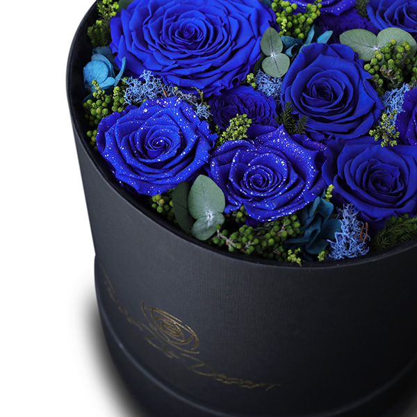 Endless Fame Royale Blue Mix