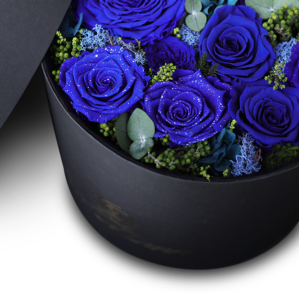 Endless Fame Royale Blue Mix