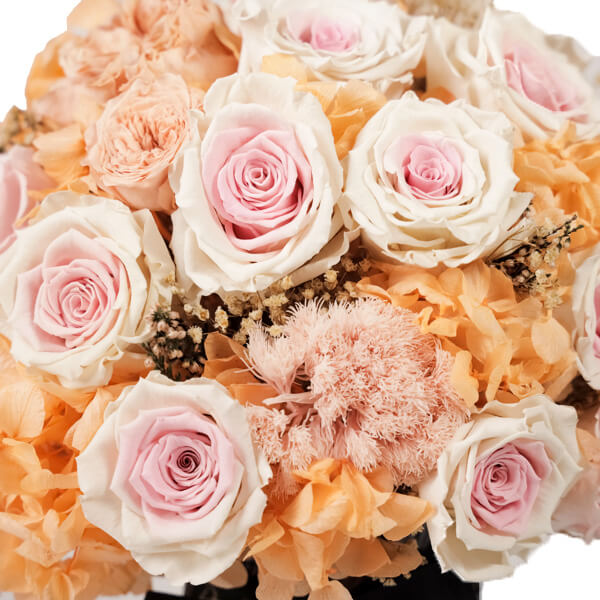 Endless Gaia Peach Baby Pink Mix