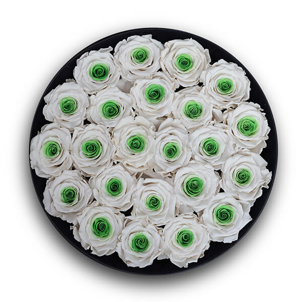 Endless Glory Green Eye