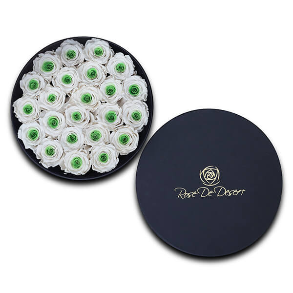 Endless Glory Green Eye