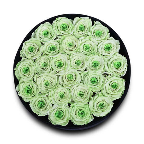 Endless Glory Mint Eye