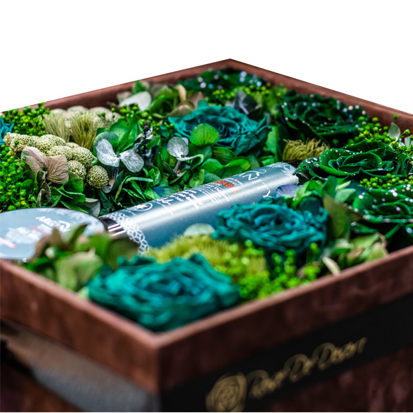 Endless Royal Green Set
