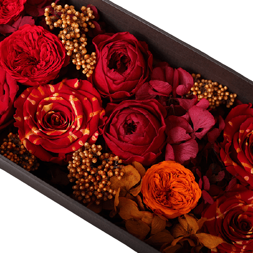 Endless Slender Festive Red Mix