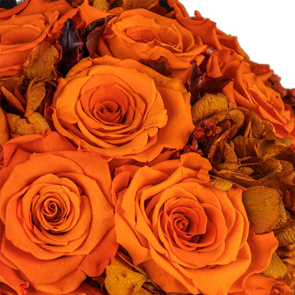 Endless Topaz Orange Mix