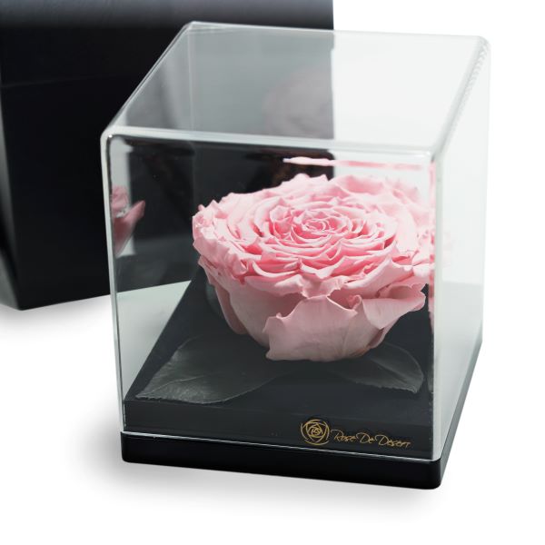 Endless Treasure Baby Pink