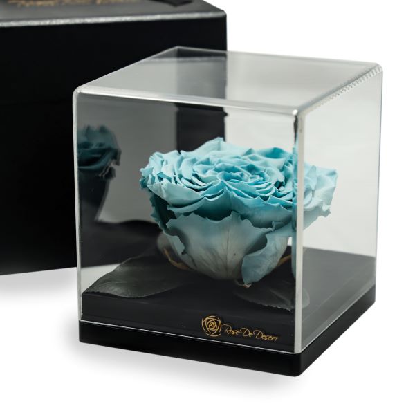 Endless Treasure Blue