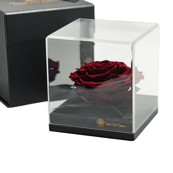 Endless Treasure Chocolate