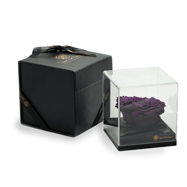 Endless Treasure Deep Purple