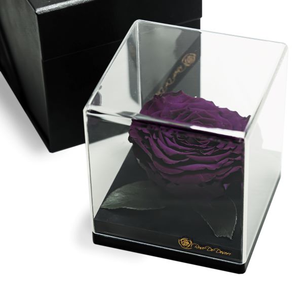 Endless Treasure Deep Purple