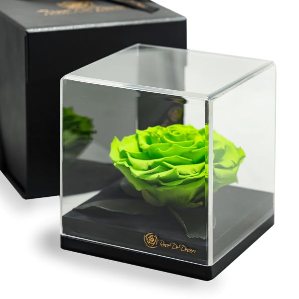 Endless Treasure Green