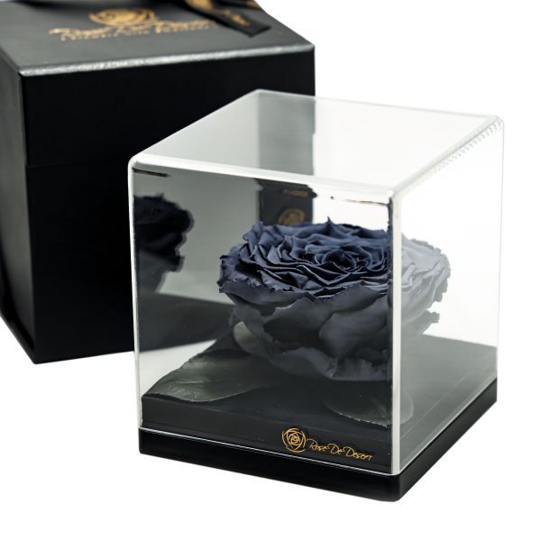 Endless Treasure Grey