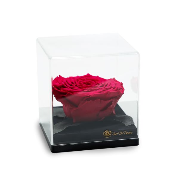 Endless Treasure Hot Pink