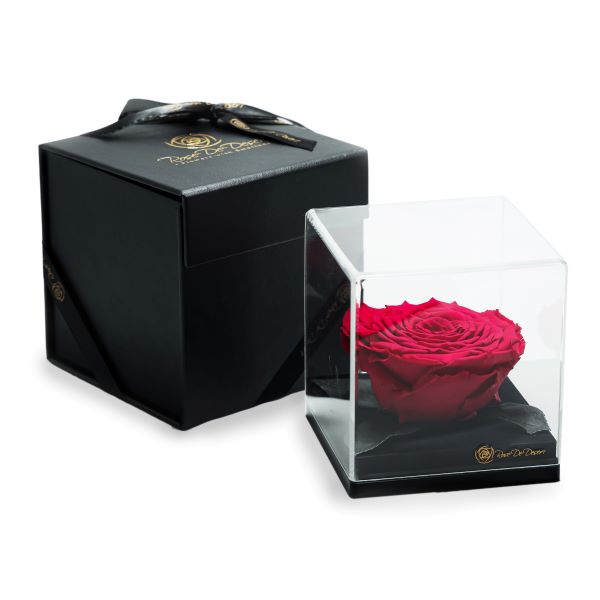 Endless Treasure Hot Pink