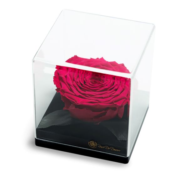 Endless Treasure Hot Pink