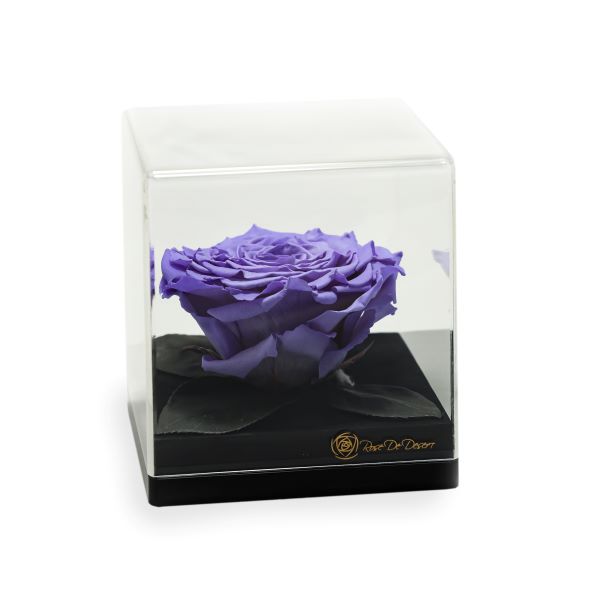 Endless Treasure Lavender