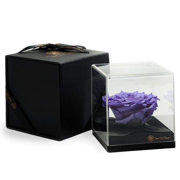Endless Treasure Lavender