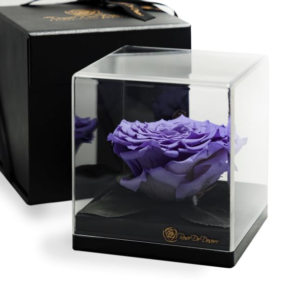 Endless Treasure Lavender