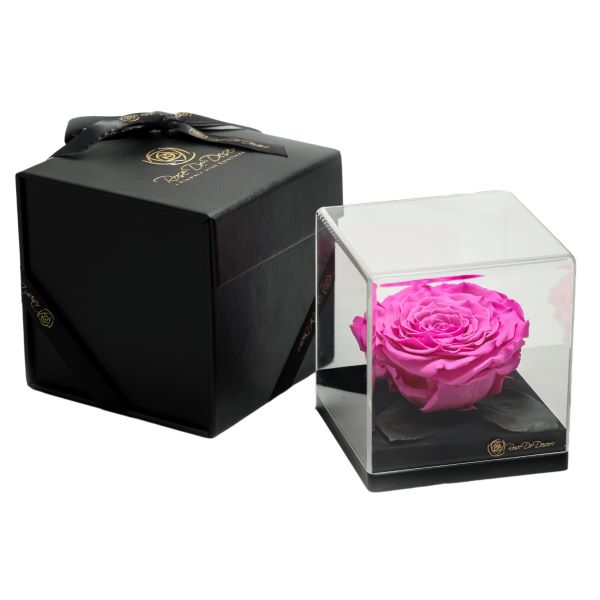 Endless Treasure Magenta