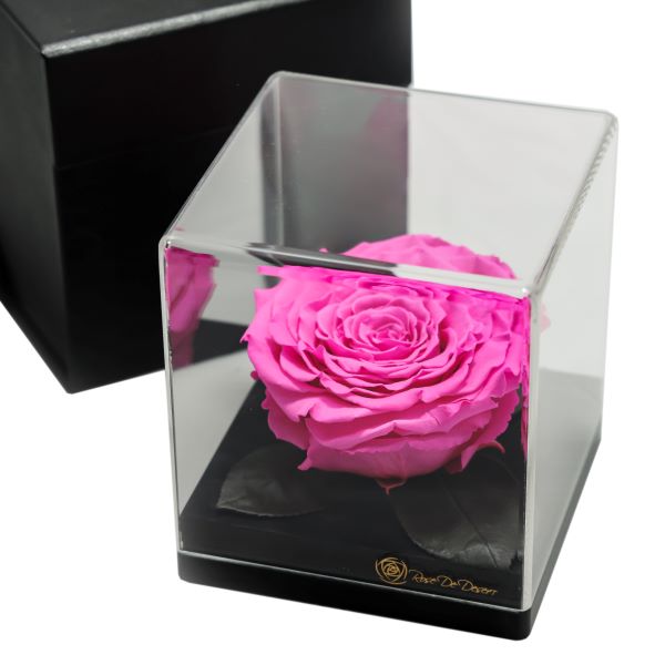 Endless Treasure Magenta