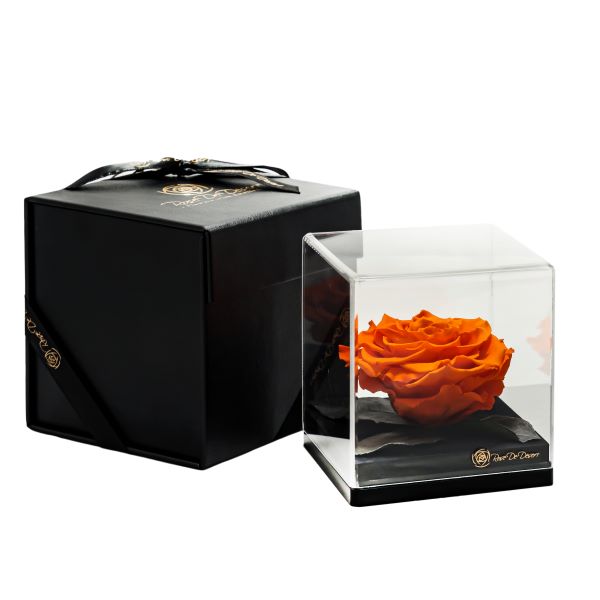Endless Treasure Orange