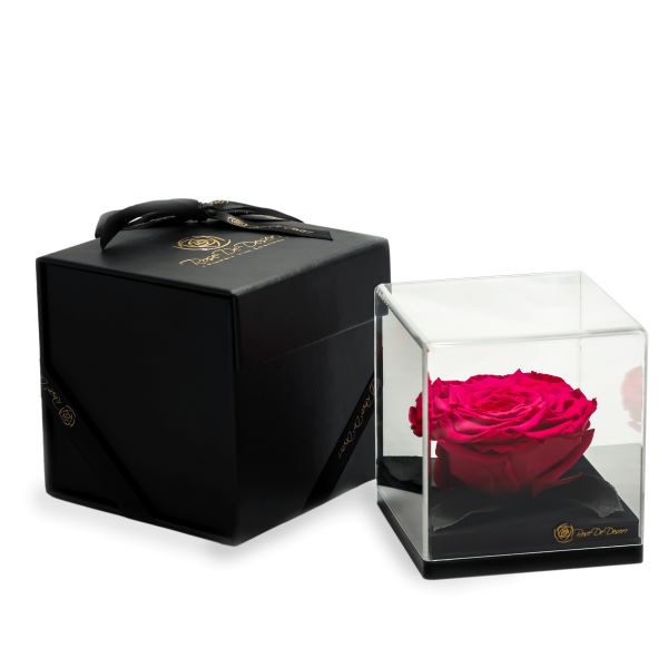 Endless Treasure Pink