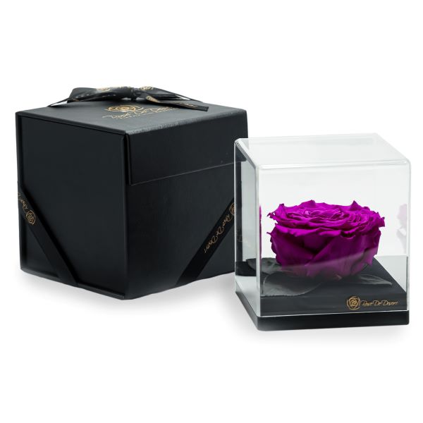 Endless Treasure Purple