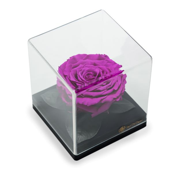 Endless Treasure Purple