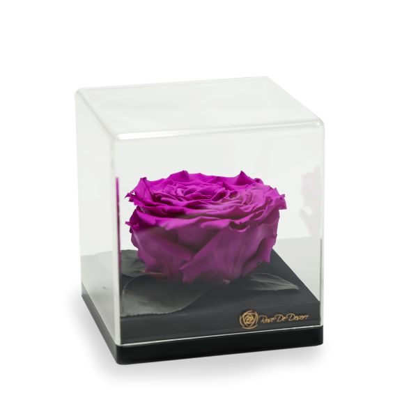 Endless Treasure Purple