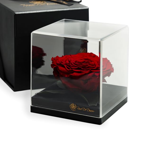 Endless Treasure Red