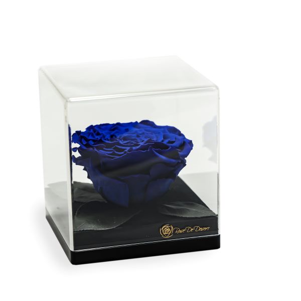 Endless Treasure Royal Blue