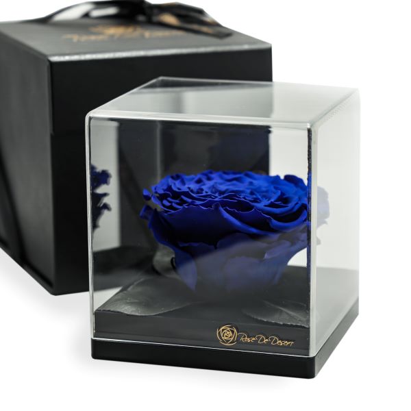 Endless Treasure Royal Blue