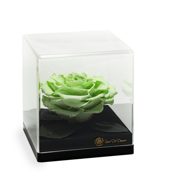 Endless Treasure Spring Green