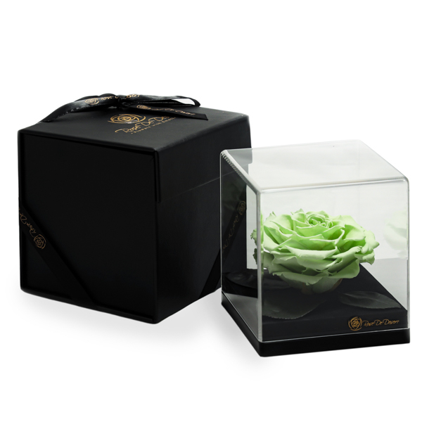 Endless Treasure Spring Green