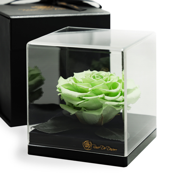 Endless Treasure Spring Green